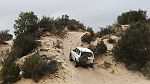 10-Zebra powers up the Ross Springs dune